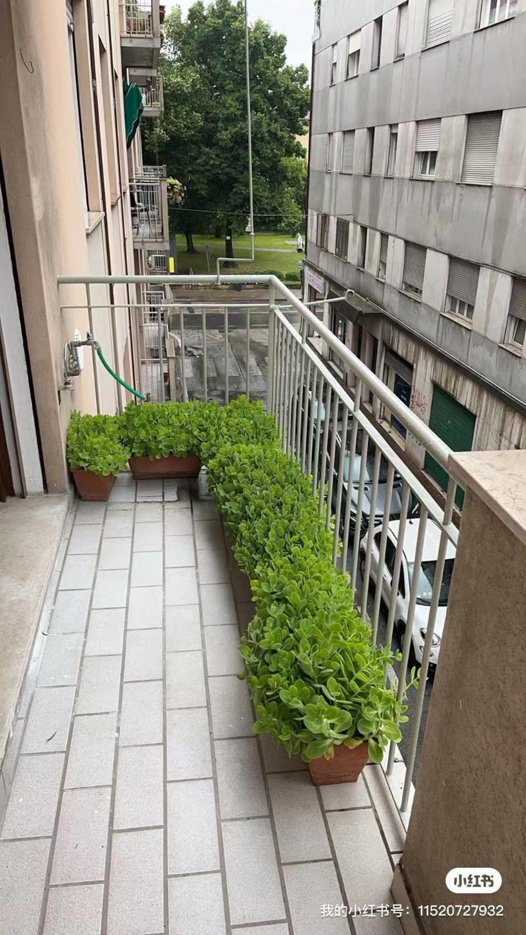 Homestay Marco Polo House Mestre